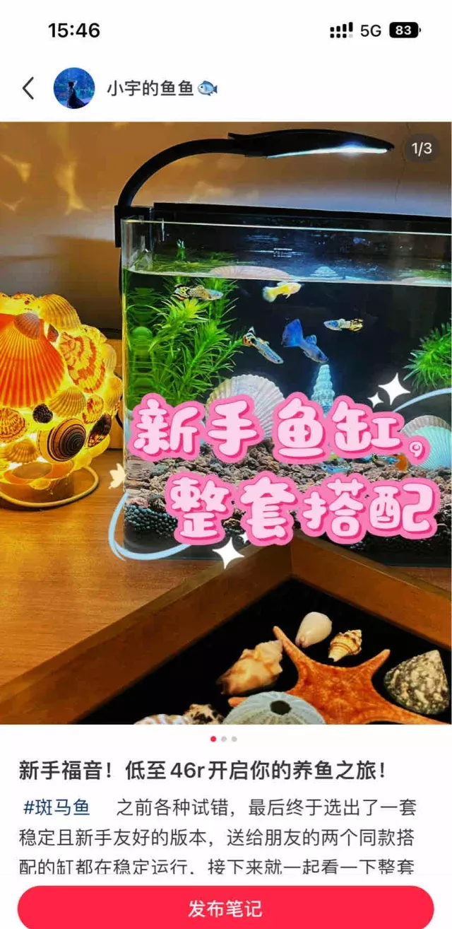 从零开始：三无缸养鱼全攻略🐟 