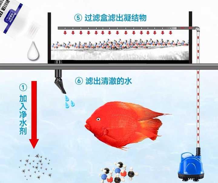 如何尽量少的给鱼缸换水？