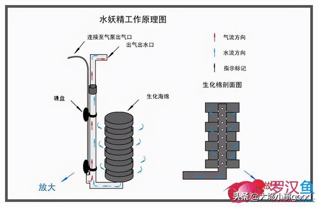 「交流」 鱼缸过滤原理以及过滤系统的使用-5.jpg