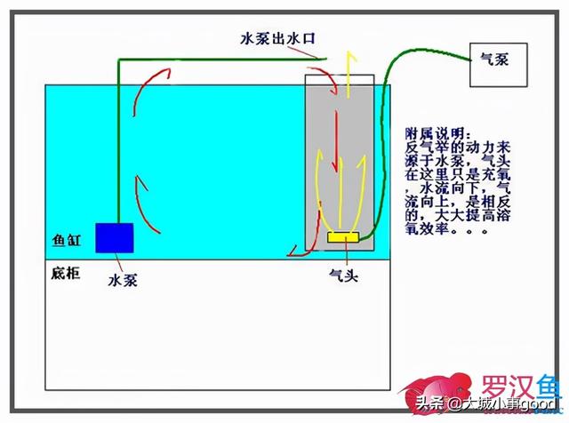 「交流」 鱼缸过滤原理以及过滤系统的使用-10.jpg