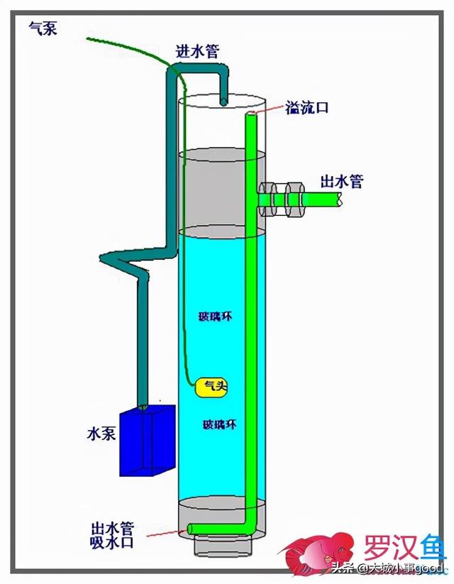 「交流」 鱼缸过滤原理以及过滤系统的使用-13.jpg