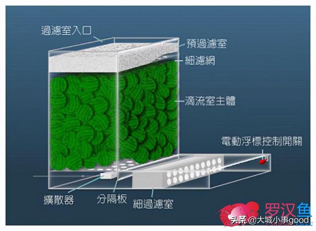 「交流」 鱼缸过滤原理以及过滤系统的使用-15.jpg