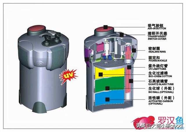 「交流」 鱼缸过滤原理以及过滤系统的使用-24.jpg