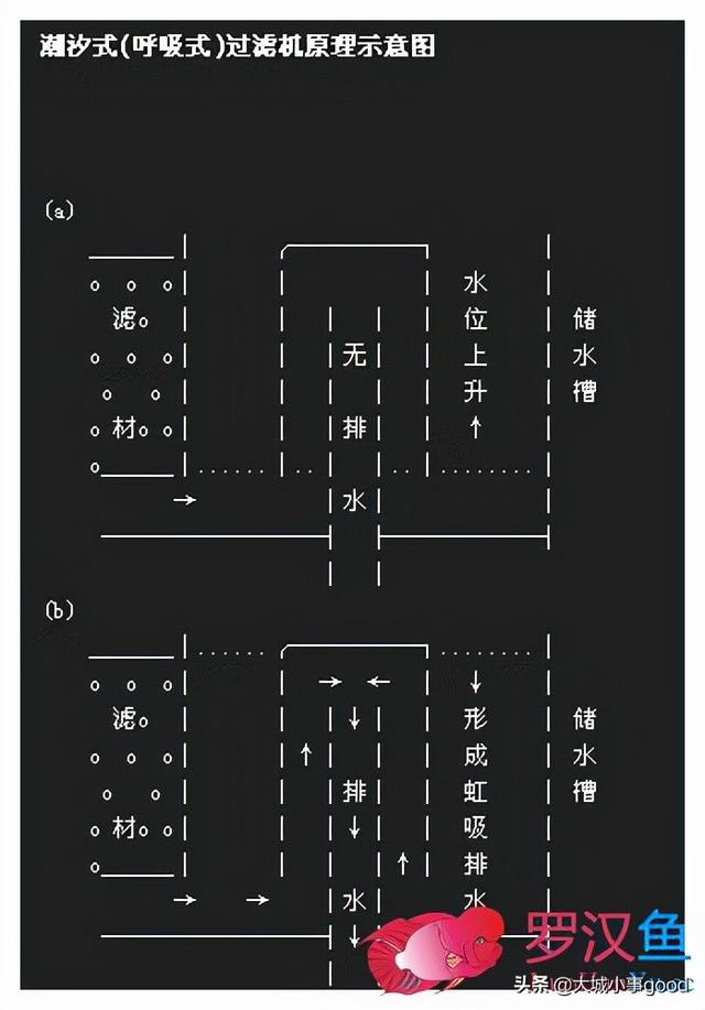 「交流」 鱼缸过滤原理以及过滤系统的使用-30.jpg