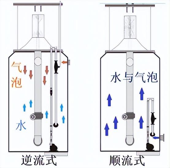 海缸入门-蛋分篇-5.jpg