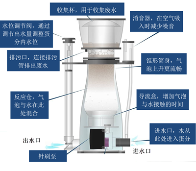 海缸入门-蛋分篇-8.jpg