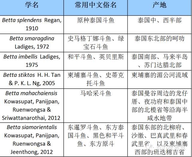 100多年过去了，斗士们早已幻化成精...-4.jpg