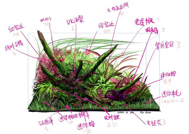 打算弄个草缸 各位帮看看 两种风格选哪种-2.jpg