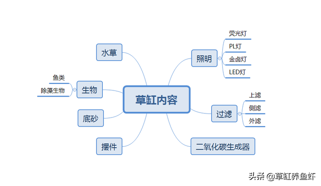 玩转草缸的5要素，有2个不能少，学会了你也能玩转草缸-12.jpg